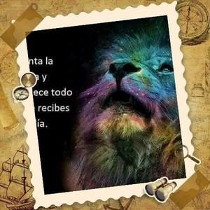 Meet your Posher, Luis